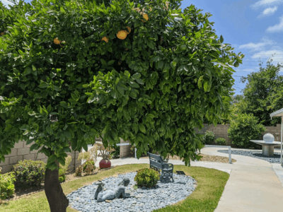 Bubbe & Zayde's Place Ii