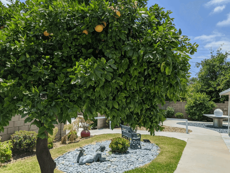 Bubbe & Zayde's Place Ii