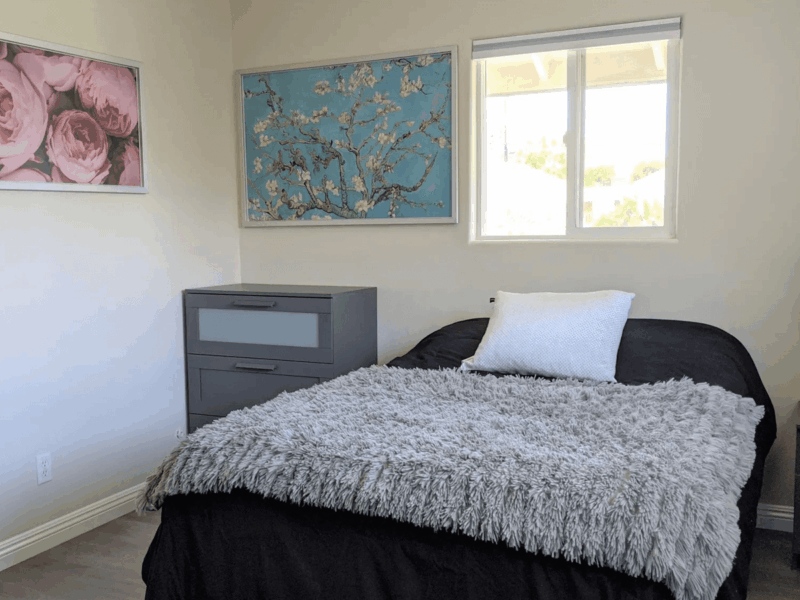 Bubbe & Zayde's Place Ii