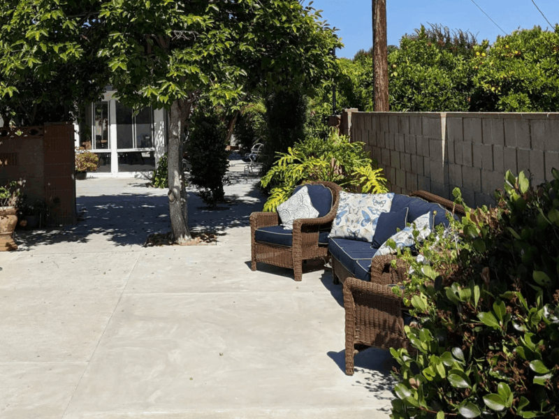 Bubbe & Zayde's Place Vii