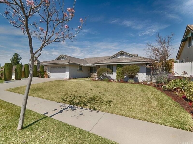 In R Great Hands - Montevideo