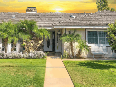 Sunshine Days For The Elderly